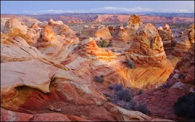 Comment le repas de mi-journée est-il appelé ?