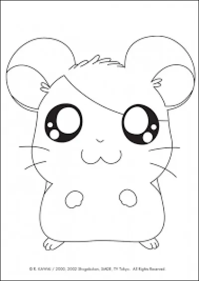 De quelles couleurs sont les oreilles d'Hamtaro ?