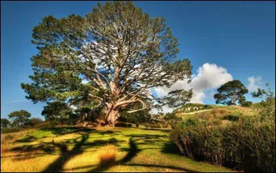 Dans quel pays se trouve la localité de Chêne ?