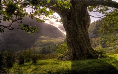 En quelle année Patrick Chêne est-il né ?