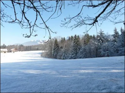 Que porter pour éviter d'avoir froid aux mains ?