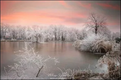 Il y a de l'eau partout, c'est...