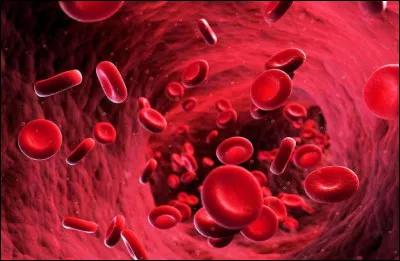 Le prurit (démangeaison de la peau) lors d'un contact avec l'eau est particulièrement évocateur d'un syndrome myéloprolifératif, qui désigne la production anormale, d'allure cancéreuse, de certains types de cellules sanguines par la moelle osseuse. Quelle lignée cellulaire est produite en quantité excessive dans la maladie de Vaquez ?