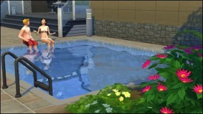 Quelle est la langue des Sims ?