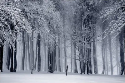 Lorsque l'on passe de l'heure d'hiver à celle d'été, comment doit-on régler les horloges ?