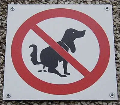 Quel orifice terminal expulse les excréments du tube digestif ?