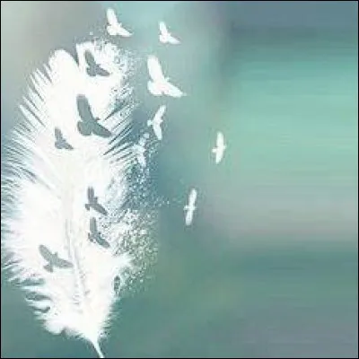 Dans le yi-king, quel hexagramme est opposé à celui de la paix ?