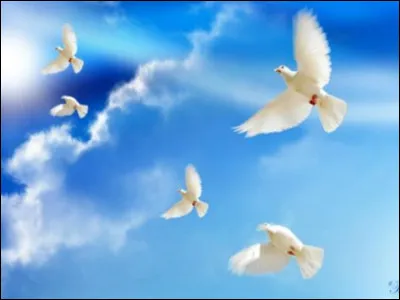 En quelle année le prix Nobel de la paix a-t-il été attribué pour la première fois ?