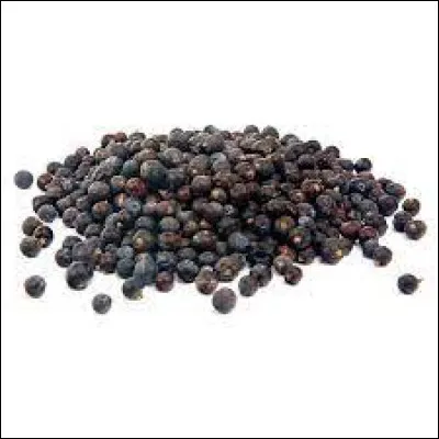 Quelle est cette épice ?