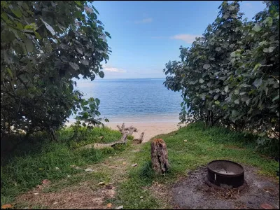 Si tu devais voyager, où irais-tu ?