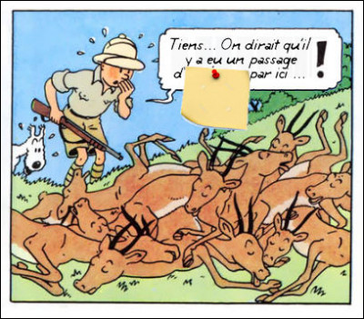 Belge accro à la chasse, Tintin ? Bel acronyme ! Indice : sur nos écrans depuis 1979 ! Quel est cet acronyme ?