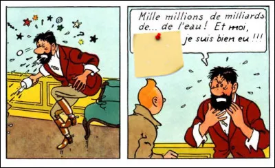 Le "plan Marshall" des ex-pays communistes, en quelque sorte... Quel est cet acronyme ?