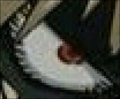 À qui appartient cet il ?