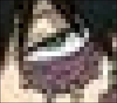 À qui appartient cet il ?