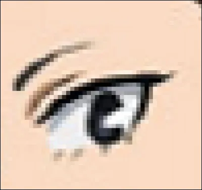 À qui appartient cet il ?