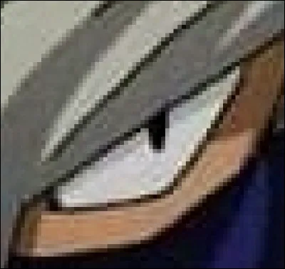 À qui appartient cet il ?