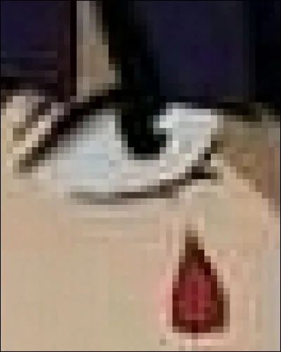 À qui appartient cet il ?