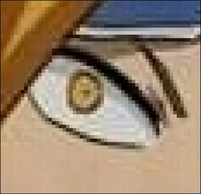 À qui appartient cet il ?