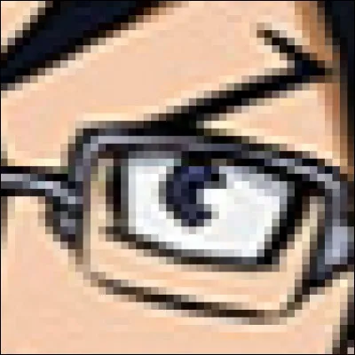 À qui appartient cet il ?