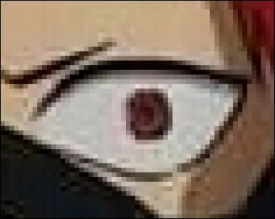 À qui appartient cet il ?