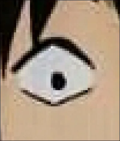 À qui appartient cet il ?