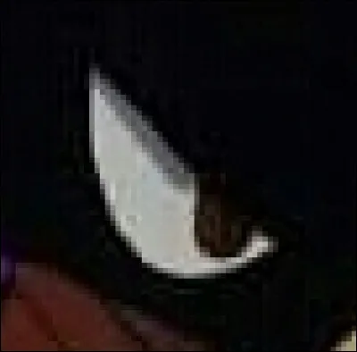 À qui appartient cet il ?