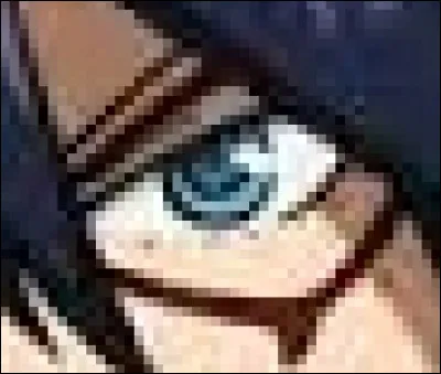 À qui appartient cet il ?