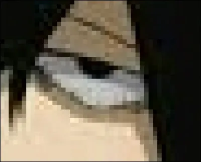 À qui appartient cet il ?