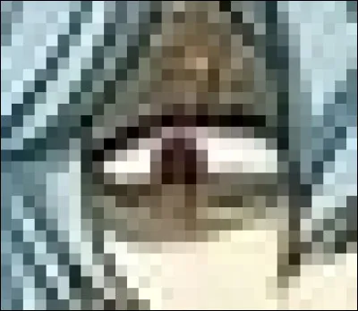 À qui appartient cet il ?