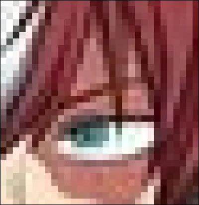 À qui appartient cet il ?