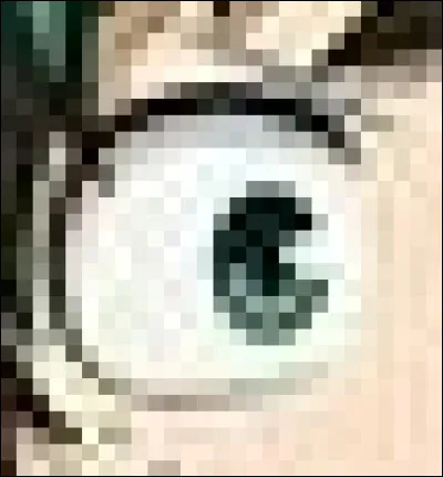 À qui appartient cet il ?