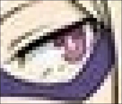 À qui appartient cet il ?