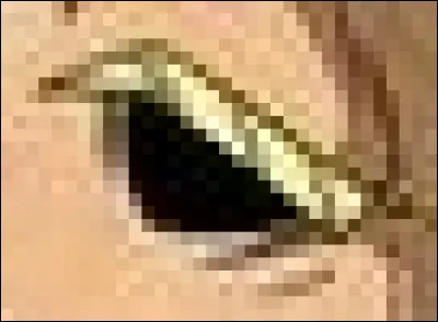 À qui appartient cet il ?