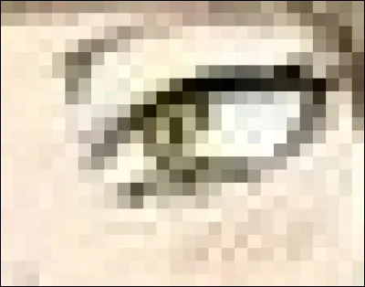 À qui appartient cet il ?