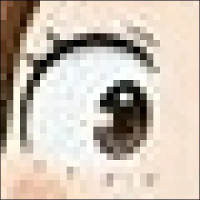 À qui appartient cet il ?