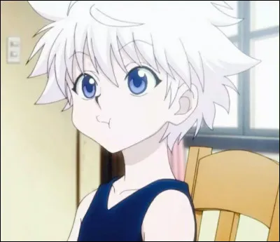 Quel est le pouvoir de Killua ?