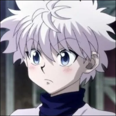 Quel est son poids ?