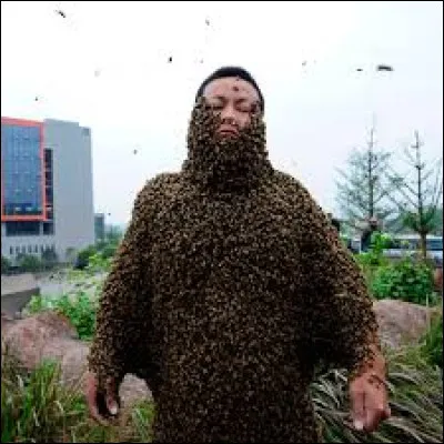 Ce record est partagé avec des abeilles. Gao Bingguo, un apiculteur chinois a battu le record du nombre d'abeilles sur un corps humain. Combien y en avait-il ?