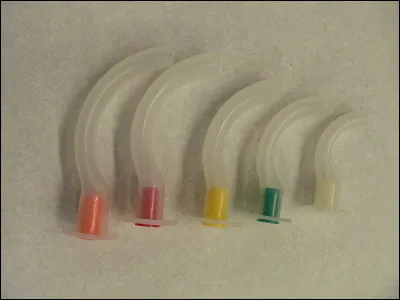 Dans quelle spécialité utilise-t-on quotidiennement les canules de Guedel ?