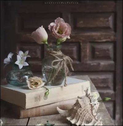 Sue : lequel de ces livres n'est pas une uvre d'Eugène Sue ?