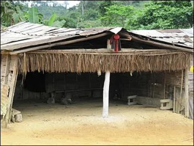 Qui est Nommo chez les Dogon ?