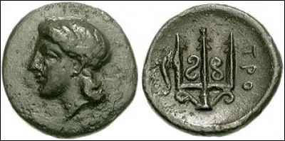 En quoi change-t-il le vaisseau des Phéaciens ?