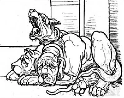 Quel est le métier des parents d'Hermione ?