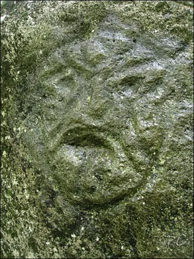 Quel bras de mer sépare la Grande-Terre à l'est et la Basse-Terre à l'ouest de l'île principale ?