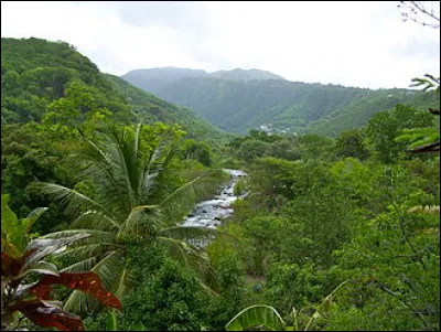 En quelle année Christophe Colomb entrevoit-il la Guadeloupe pour la première fois ?