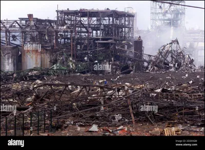 En quelle année est sorti le film de Beatriz Flores Silva, "Putain de vie" ?