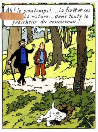 Un peu de charme, mais surtout du pin et du bouleau !