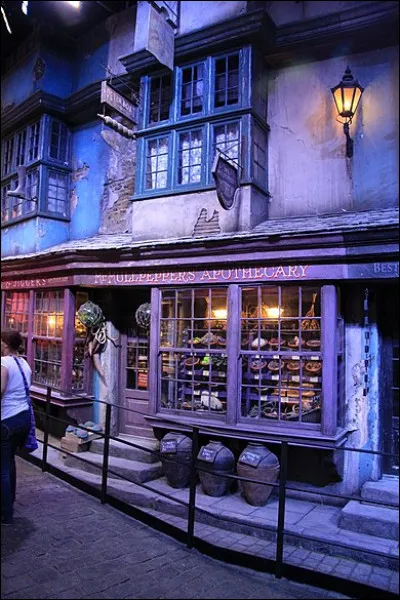 Avec lequel de ses frères Ron ne vient-il pas chercher Harry à Privet Drive ?