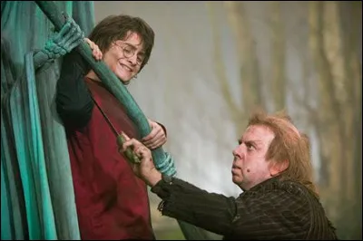 Quelle équipe se bat contre l'Irlande lors de la Coupe du Monde de Quidditch ?
