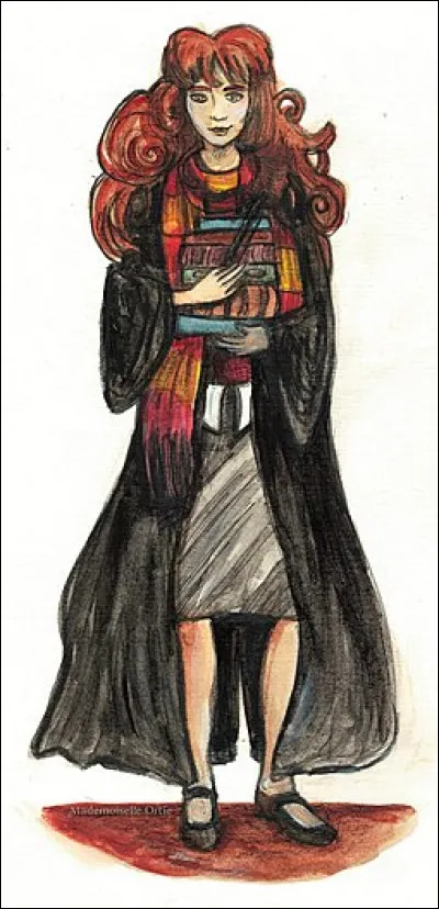 Quel elfe a été accusé, au début du livre, d'avoir fait apparaître la Marque des Ténèbres ?